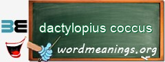 WordMeaning blackboard for dactylopius coccus